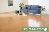 ハイホットバリュー