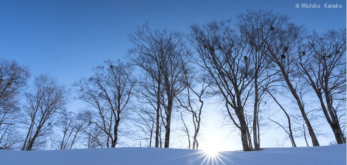 1・2月　福島県　裏磐梯