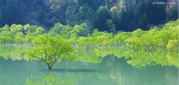 5・6月　山形県　飯豊町