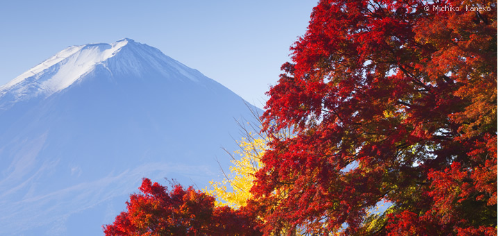 9・10月　山梨県　富士河口湖町