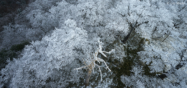 11・12月　徳島県　高城山