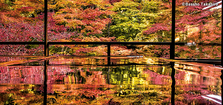 9・10月　瑠璃光院（京都府）