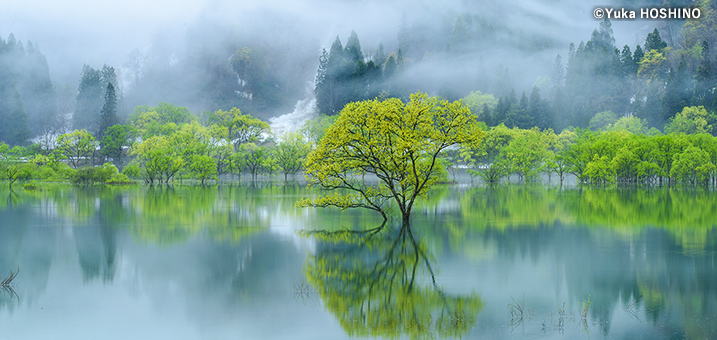 5・6月　白川湖（山形県）