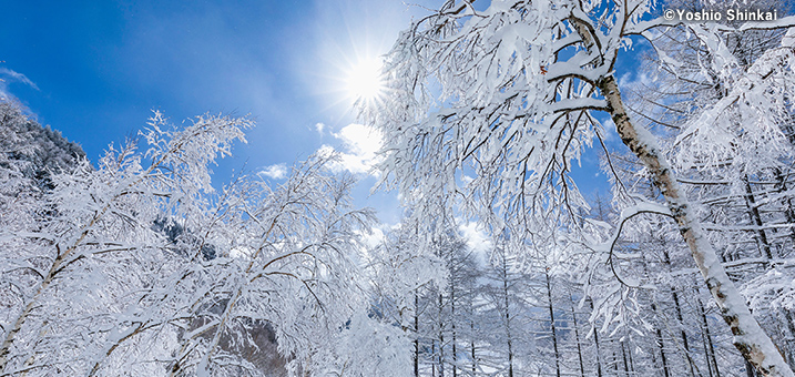 1・2月　志賀高原の笠ヶ岳と北アルプス（長野県山ノ内町）