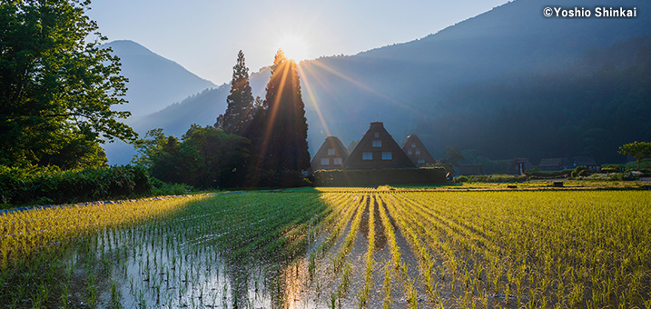 5・6月　世界遺産  白川郷の朝（岐阜県白川村）