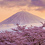 3・4月 大石寺付近からの桜と富士山の朝焼け　世界遺産(静岡県)