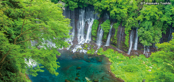 5・6月　白糸の滝（静岡県）　