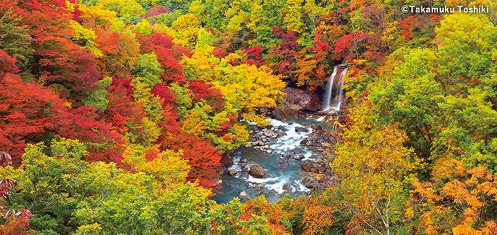 9・10月　松川渓谷（岩手県）