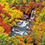 9・10月 松川渓谷（岩手県）