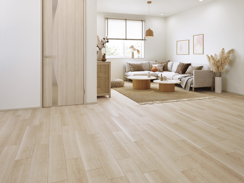 ダイレクトエクセルネオS