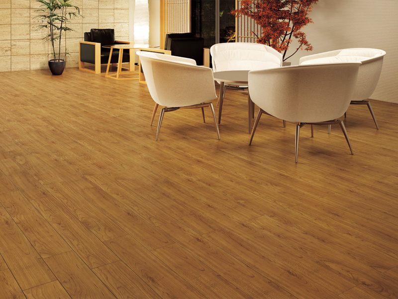 セーフケアダイレクトTN