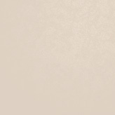 ノーブルベージュ柄