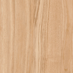 フォレスタライト柄