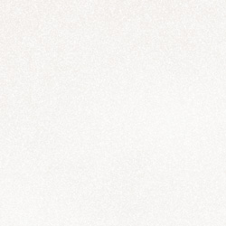 ノーブルホワイト柄