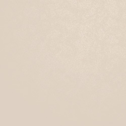 ノーブルベージュ柄