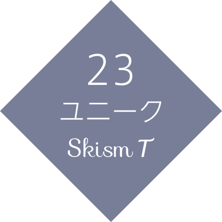 23 ユニーク　Skism T