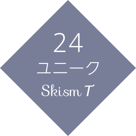 24 ユニーク　Skism T