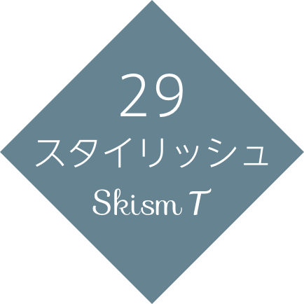 29 スタイリッシュ　Skism T